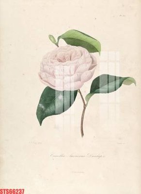 Tải file Tranh sơn dầu phương tây tổng hợp STS66237 (gốc) chủ đề phong thủy