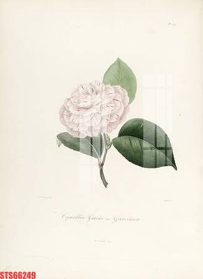 Tải file gốc Tranh sơn dầu phương tây tổng hợp STS66249 (in bạt) quảng cáo