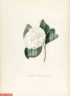 Tải file Tranh sơn dầu phương tây tổng hợp STS66253 (ảnh gốc) 300dpi Tranh sơn dầu phương tây tổng hợp STS66253