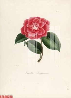 Tải file Tranh sơn dầu phương tây tổng hợp STS66255 (PSD) cho in tranh 3D