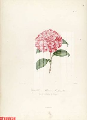 Tải file Tranh sơn dầu phương tây tổng hợp STS66258 (ảnh gốc) độ phân giải 300dpi