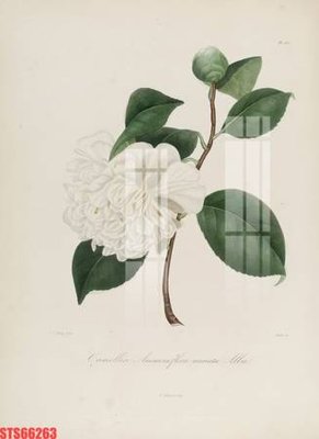 File tranh gốc PSD Tranh sơn dầu phương tây tổng hợp STS66263 còn nguyên layer