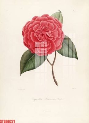 File gốc Tranh sơn dầu phương tây tổng hợp STS66271 (in lụa) trang trí tường