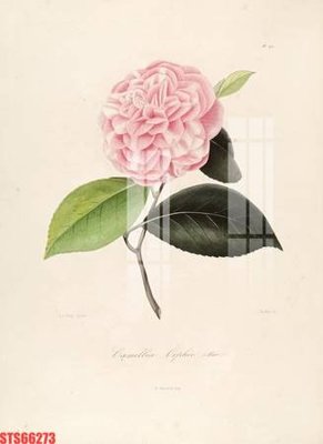 File tranh Tranh sơn dầu phương tây tổng hợp STS66273 (bản gốc) in lụa 5D