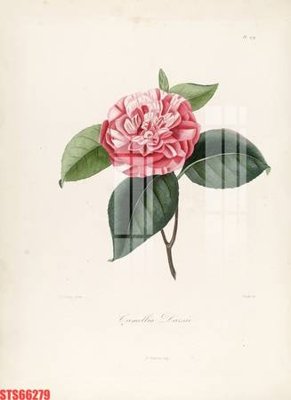 Tải file gốc Tranh sơn dầu phương tây tổng hợp STS66279 (in tráng gương) 3DFile gốc Tranh sơn dầu phương tây tổng hợp STS66279 (sẵn sàng in) chất lượng cao