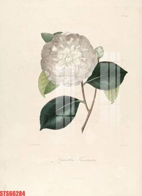 Download file tranh Tranh sơn dầu phương tây tổng hợp STS66284 (file gốc PSD)