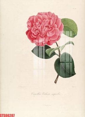 File in trần Tranh sơn dầu phương tây tổng hợp STS66287 (bản gốc) hoa văn