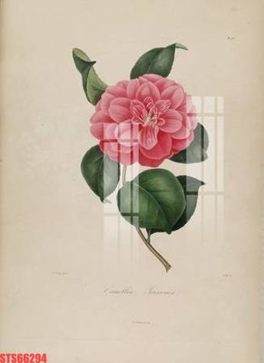 File tranh PSD Tranh sơn dầu phương tây tổng hợp STS66294 chất lượng cao