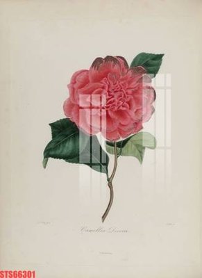 File tranh Tranh sơn dầu phương tây tổng hợp STS66301 (gốc) chủ đề thiên nhiên