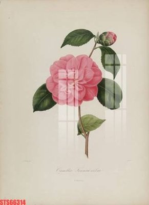 File tranh PSD Tranh sơn dầu phương tây tổng hợp STS66314 chất lượng cao