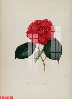 Tải file Tranh sơn dầu phương tây tổng hợp STS66325 (ảnh gốc) độ phân giải 300dpi