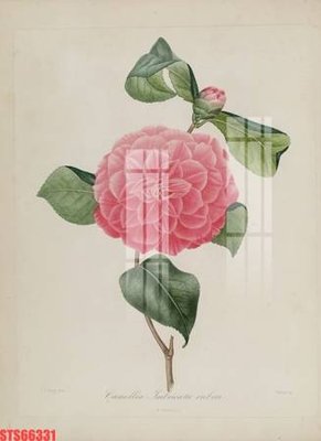 Download file Tranh sơn dầu phương tây tổng hợp STS66331 (gốc) in mica cao cấp