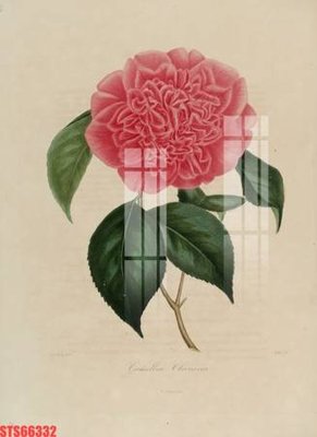 File tranh Tranh sơn dầu phương tây tổng hợp STS66332 (bản gốc) in canvas