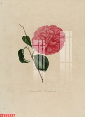 Tải file Tranh sơn dầu phương tây tổng hợp STS66337 (gốc) làm file tranh quảng cáo