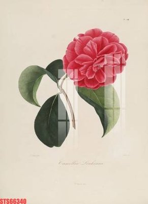 File PSD Tranh sơn dầu phương tây tổng hợp STS66340 (bản gốc) cho nhà in