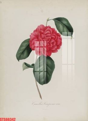 File PSD Tranh sơn dầu phương tây tổng hợp STS66342 (bản gốc) cho nhà in