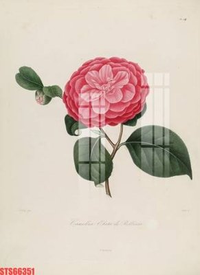 File gốc Tranh sơn dầu phương tây tổng hợp STS66351 (phong cách) cổ điển