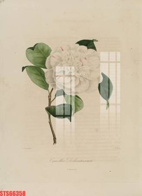 Download file Tranh sơn dầu phương tây tổng hợp STS66358 (chuẩn in) chất lượng cao