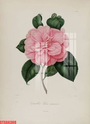 File PSD Tranh sơn dầu phương tây tổng hợp STS66369 (bản gốc) độ phân giải cao