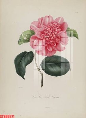 File in ấn cao cấp Tranh sơn dầu phương tây tổng hợp STS66371 (file gốc)