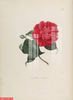 Tải file gốc Tranh sơn dầu phương tây tổng hợp STS66385 (in khổ lớn) không mờ