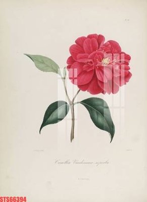 Download file tranh PSD Tranh sơn dầu phương tây tổng hợp STS66394 để chỉnh sửa