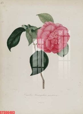 File gốc Tranh sơn dầu phương tây tổng hợp STS66403 (bản quyền) cho in ấn