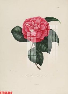 File tranh Tranh sơn dầu phương tây tổng hợp STS66404 (gốc) chủ đề trừu tượng