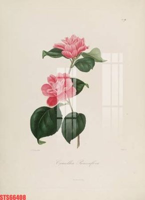 File PSD Tranh sơn dầu phương tây tổng hợp STS66408 (gốc) tách lớp chi tiết