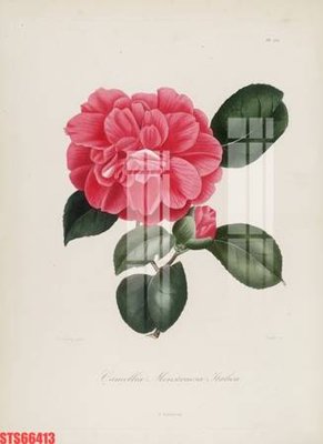 Tải file gốc Tranh sơn dầu phương tây tổng hợp STS66413 dùng cho in ấn