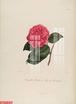 Tệp tin gốc Tranh sơn dầu phương tây tổng hợp STS66417 (chất lượng) Tranh sơn dầu phương tây tổng hợp STS66417