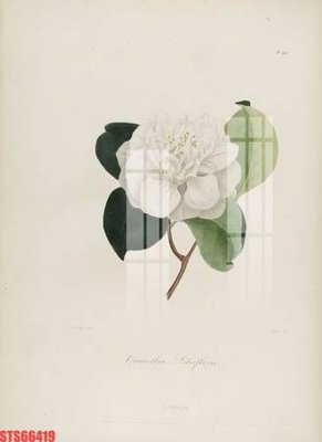 File in trần Tranh sơn dầu phương tây tổng hợp STS66419 (file gốc) hoa văn 3D