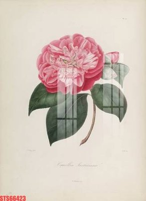 File gốc Tranh sơn dầu phương tây tổng hợp STS66423 (dành cho quảng cáo)