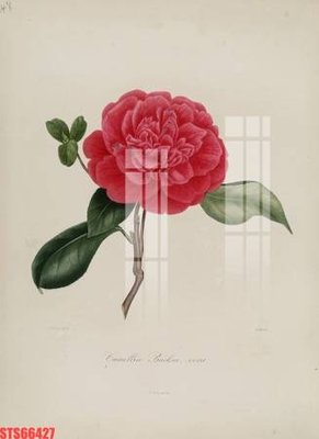 File in mica Tranh sơn dầu phương tây tổng hợp STS66427 (bản gốc) làm vách ngăn