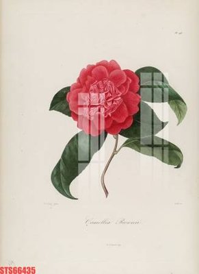 Tệp tin gốc Tranh sơn dầu phương tây tổng hợp STS66435 (chất lượng cao) Tranh sơn dầu phương tây tổng hợp STS66435