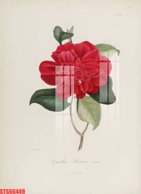 File gốc Tranh sơn dầu phương tây tổng hợp STS66449 (in 3D) cho trang trí