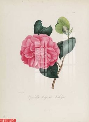 File gốc Tranh sơn dầu phương tây tổng hợp STS66450 (phong cách) tối giản