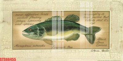 File in trần Tranh sơn dầu phương tây tổng hợp STS66455 (file gốc) chủ đề vũ trụ