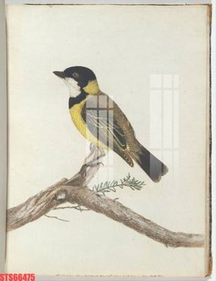 File gốc Tranh sơn dầu phương tây tổng hợp STS66475 (PNG) trong suốt (transparent)