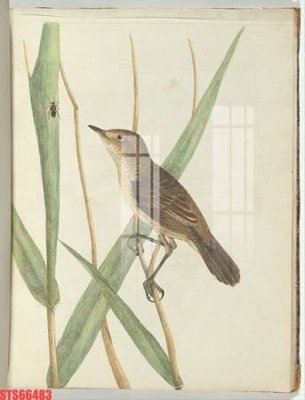 Tải xuống file tranh gốc Tranh sơn dầu phương tây tổng hợp STS66483 (PSD/TIFF)