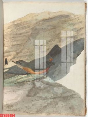 File in trần Tranh sơn dầu phương tây tổng hợp STS66484 (bản gốc) bầu trời