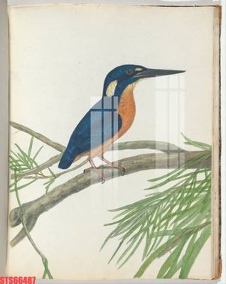 Tải file Tranh sơn dầu phương tây tổng hợp STS66487 (ảnh gốc) file AI/EPS