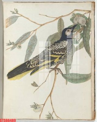 Ảnh gốc Tranh sơn dầu phương tây tổng hợp STS66489 (độ nét cao) in tráng gương