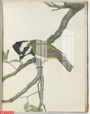 File in mica Tranh sơn dầu phương tây tổng hợp STS66491 (bản gốc) siêu trong