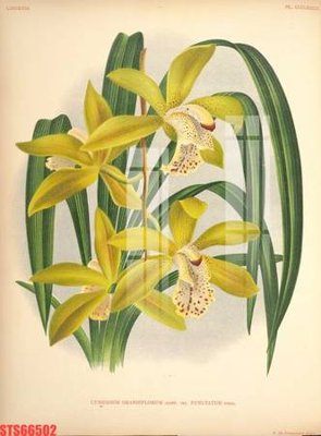 Tải file Tranh sơn dầu phương tây tổng hợp STS66502 (ảnh gốc) in gạch men