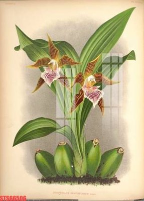 Tải file gốc Tranh sơn dầu phương tây tổng hợp STS66506 (in khổ lớn) quảng cáo