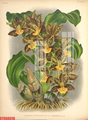 File gốc Tranh sơn dầu phương tây tổng hợp STS66516 (thiết kế) cho in ấn