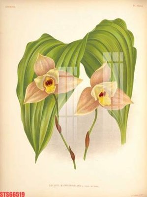 File tranh Tranh sơn dầu phương tây tổng hợp STS66519 (bản gốc) treo tường