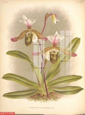 Download file Tranh sơn dầu phương tây tổng hợp STS66520 (chuẩn in) Tranh sơn dầu phương tây tổng hợp STS66520