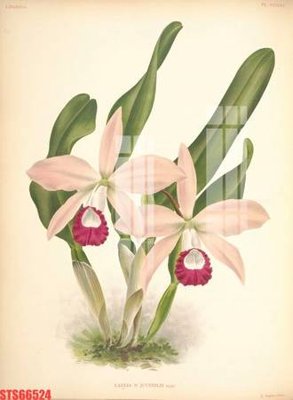 File ảnh Tranh sơn dầu phương tây tổng hợp STS66524 (gốc) cho trang trí nội thất